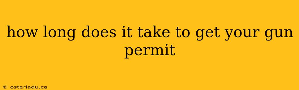 how long does it take to get your gun permit