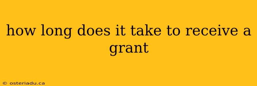 how long does it take to receive a grant