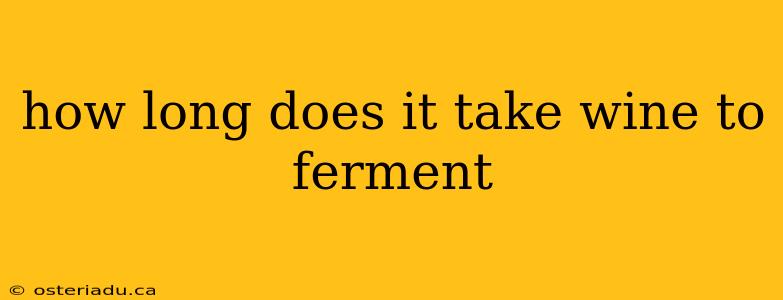 how long does it take wine to ferment