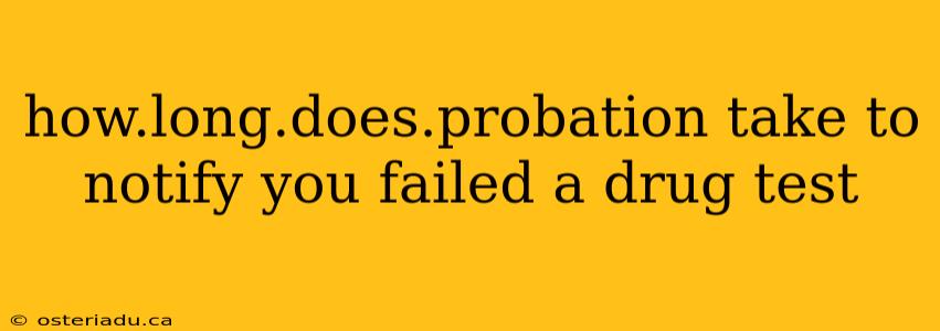 how.long.does.probation take to notify you failed a drug test