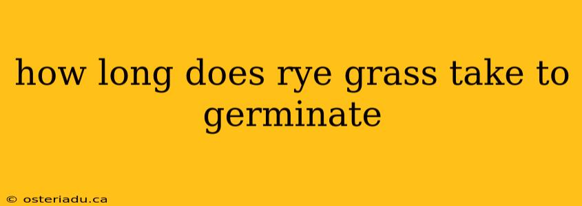 how long does rye grass take to germinate