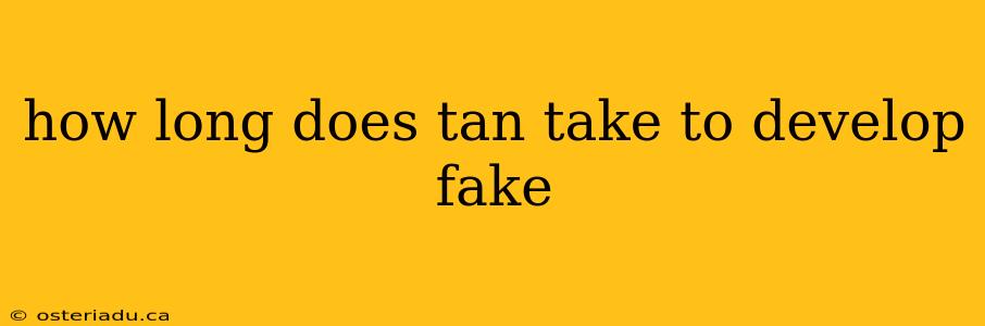 how long does tan take to develop fake