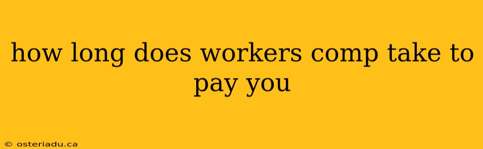 how long does workers comp take to pay you