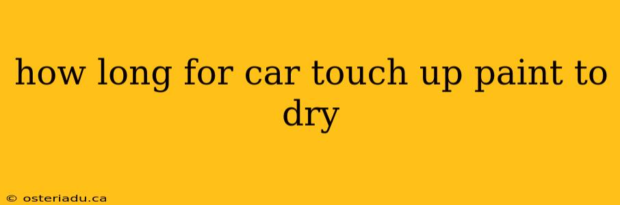 how long for car touch up paint to dry