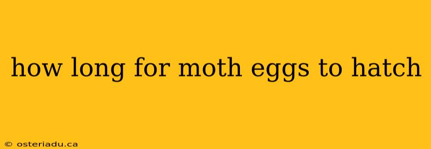 how long for moth eggs to hatch