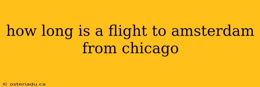 how long is a flight to amsterdam from chicago