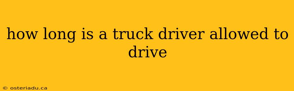 how long is a truck driver allowed to drive