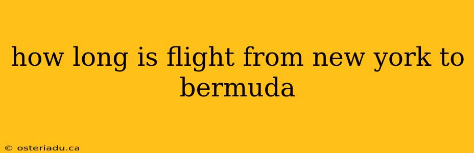 how long is flight from new york to bermuda