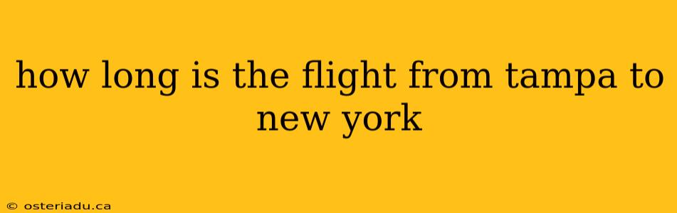 how long is the flight from tampa to new york