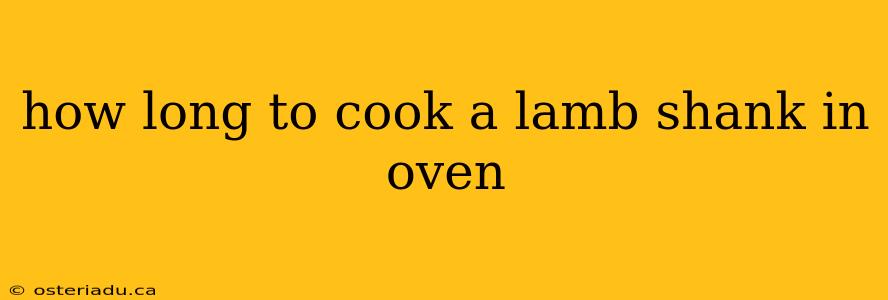 how long to cook a lamb shank in oven