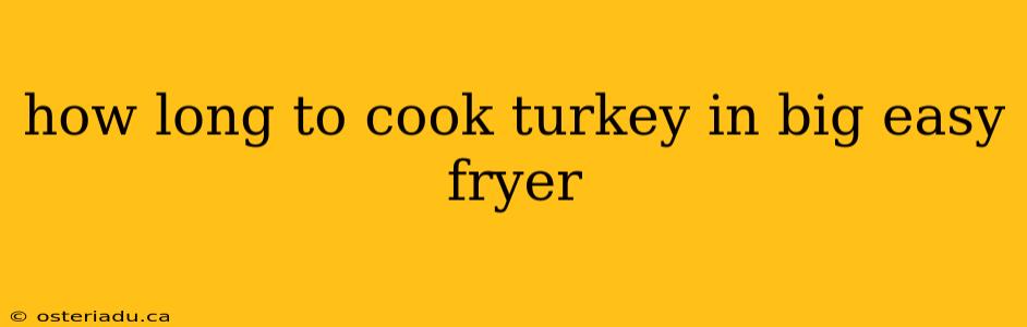 how long to cook turkey in big easy fryer