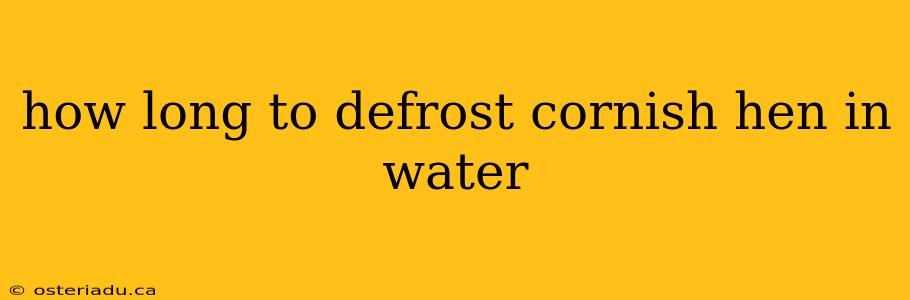 how long to defrost cornish hen in water