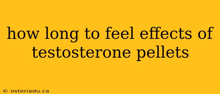 how long to feel effects of testosterone pellets