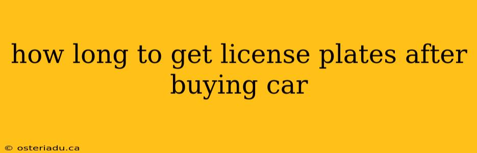 how long to get license plates after buying car