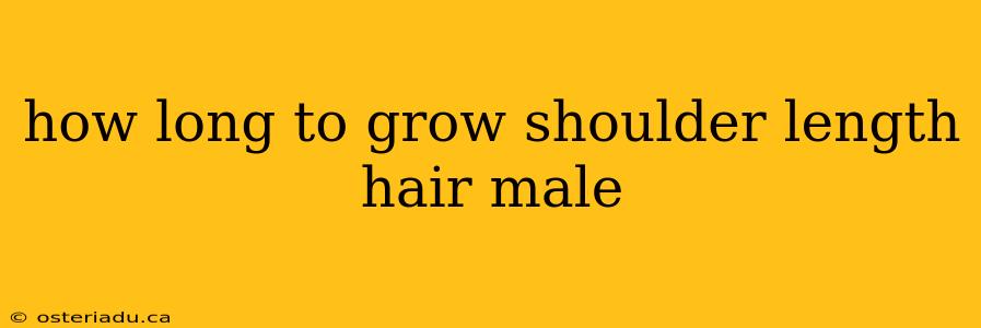 how long to grow shoulder length hair male