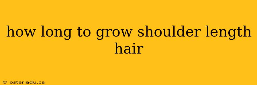 how long to grow shoulder length hair