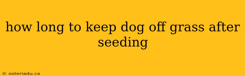 how long to keep dog off grass after seeding