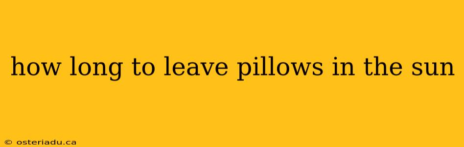 how long to leave pillows in the sun