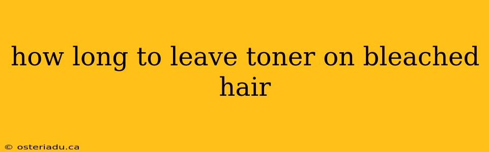 how long to leave toner on bleached hair