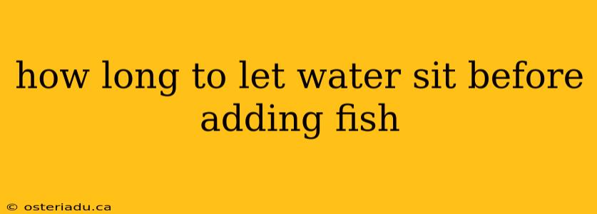 how long to let water sit before adding fish