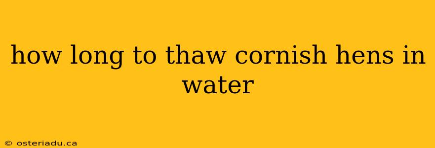 how long to thaw cornish hens in water