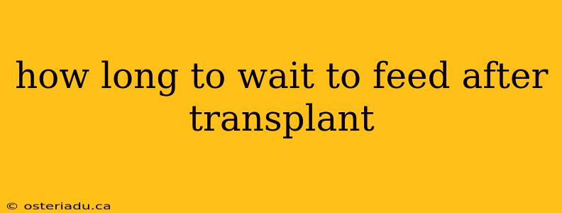 how long to wait to feed after transplant