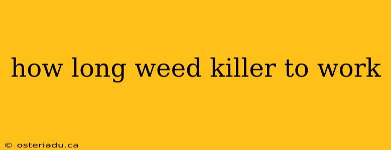 how long weed killer to work