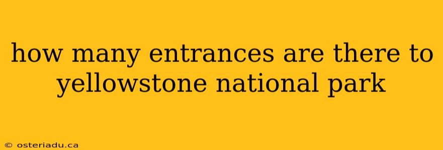 how many entrances are there to yellowstone national park