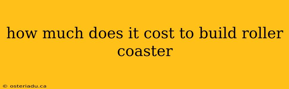 how much does it cost to build roller coaster