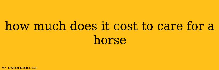 how much does it cost to care for a horse