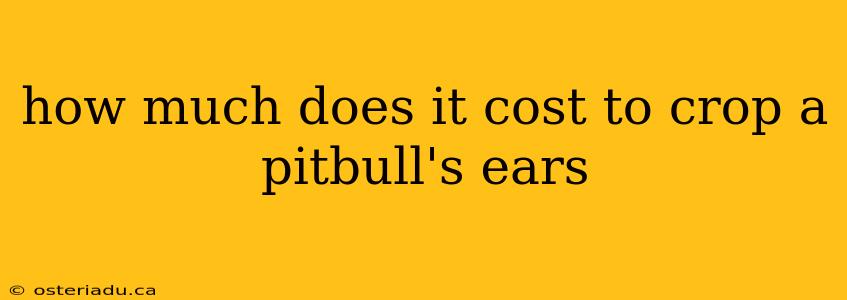 how much does it cost to crop a pitbull's ears