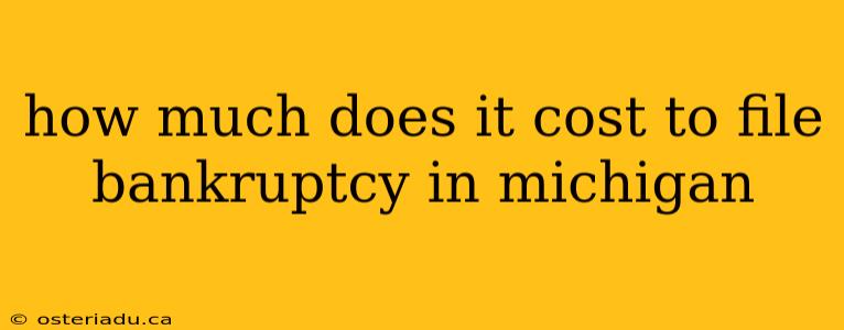 how much does it cost to file bankruptcy in michigan