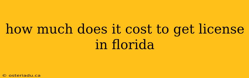 how much does it cost to get license in florida