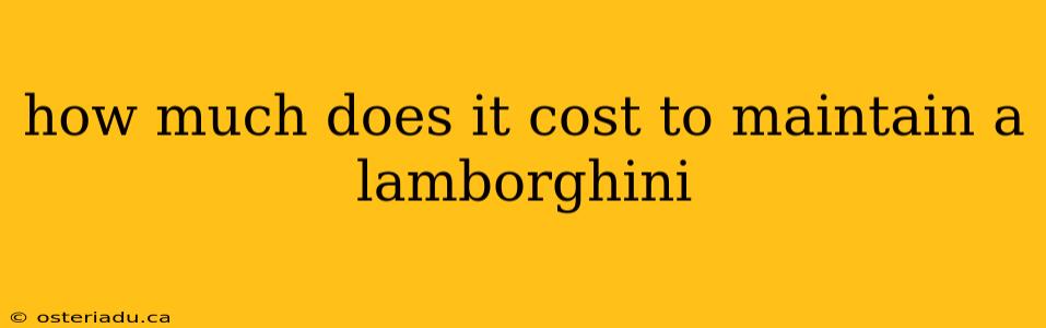 how much does it cost to maintain a lamborghini