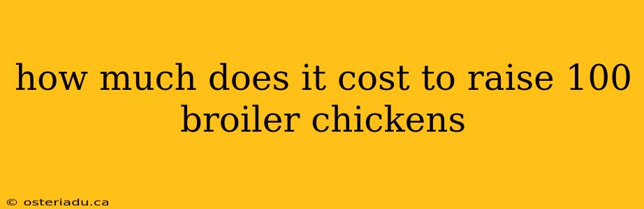 how much does it cost to raise 100 broiler chickens