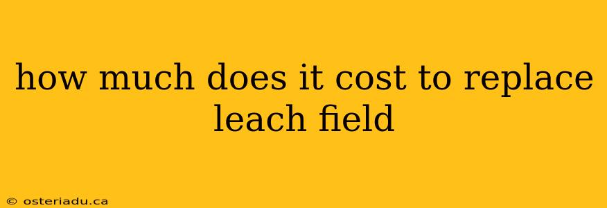 how much does it cost to replace leach field