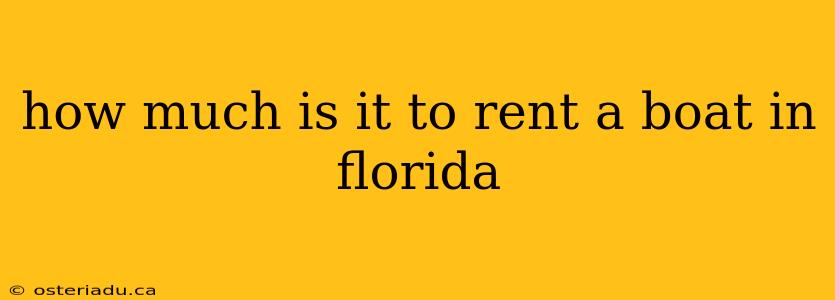 how much is it to rent a boat in florida