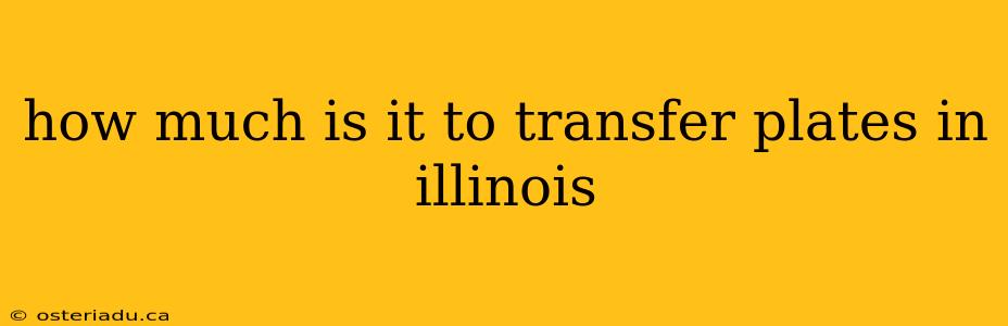 how much is it to transfer plates in illinois