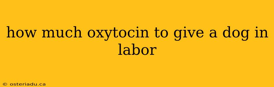 how much oxytocin to give a dog in labor