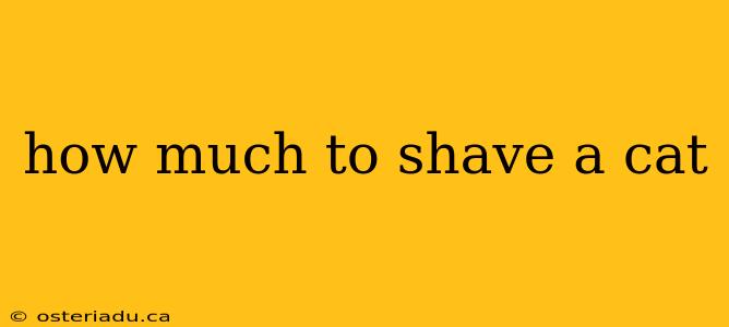 how much to shave a cat