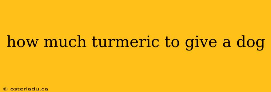 how much turmeric to give a dog