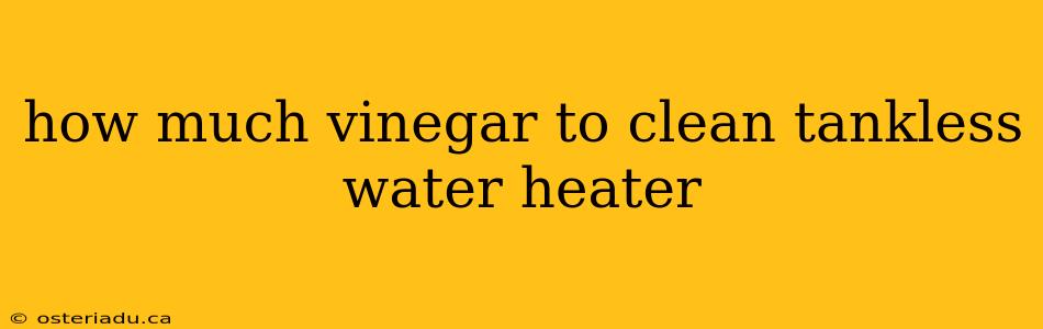 how much vinegar to clean tankless water heater