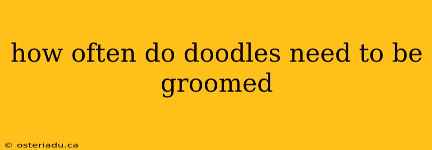 how often do doodles need to be groomed