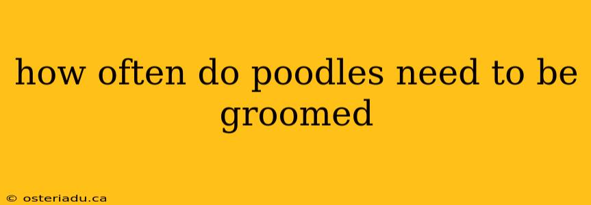 how often do poodles need to be groomed