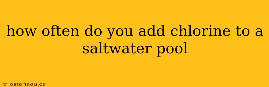 how often do you add chlorine to a saltwater pool