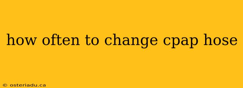 how often to change cpap hose