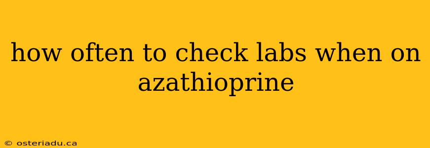 how often to check labs when on azathioprine