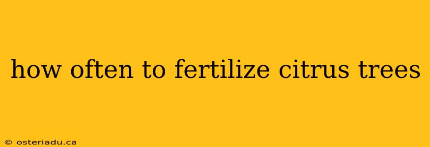 how often to fertilize citrus trees