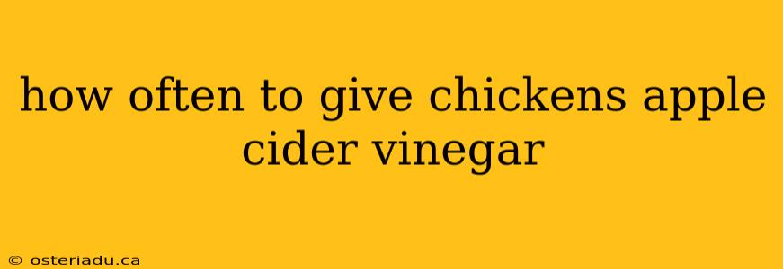 how often to give chickens apple cider vinegar