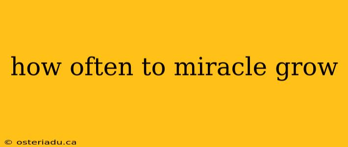 how often to miracle grow